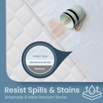 SleepGuard Premium Cotton Waterproof Mattress Protector